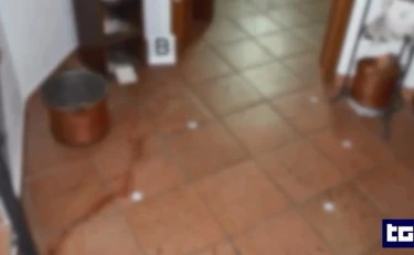 Garlasco, retroscena clamoroso: perché è uscita al Tg1 la notizia della scarpa