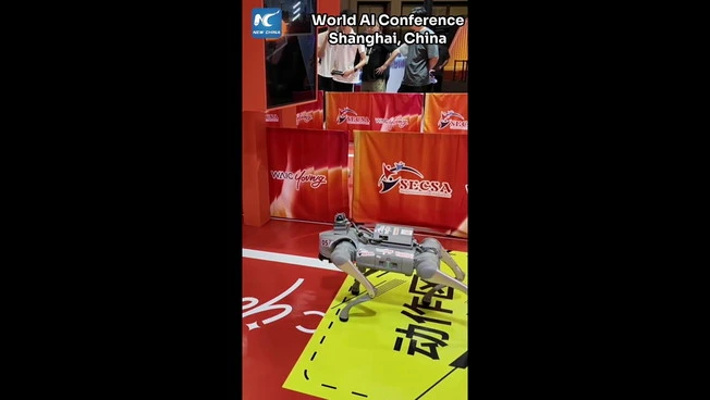 Cina: cani robot si sfidano in un percorso a ostacoli alla WAIC 2026
