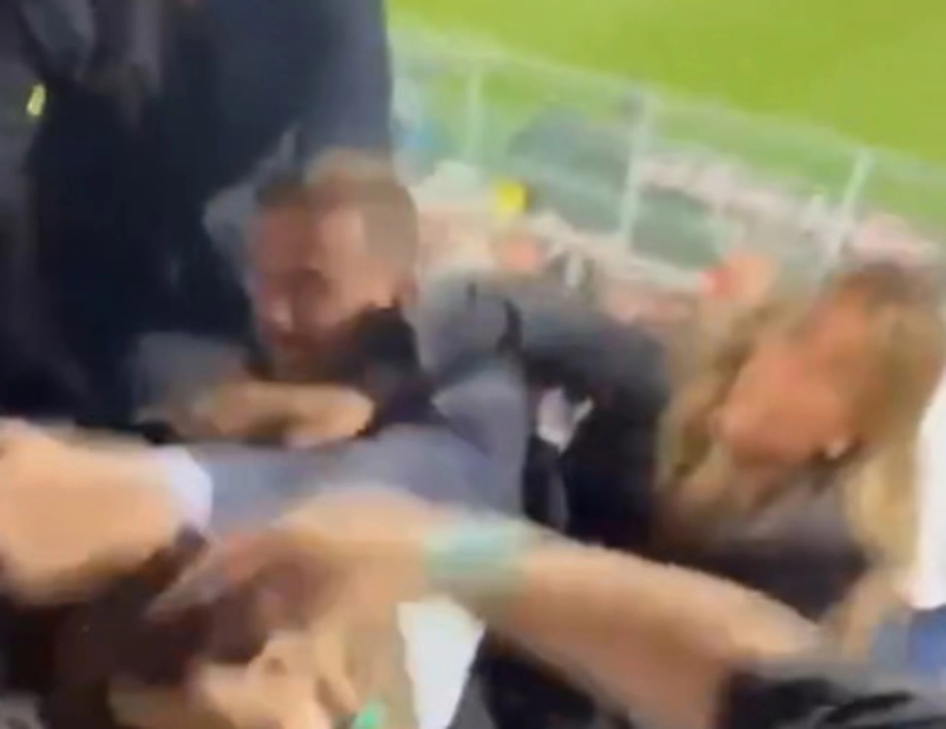 Catanzaro-Palermo, la rissa choc in tribuna vip: occhio alla signora