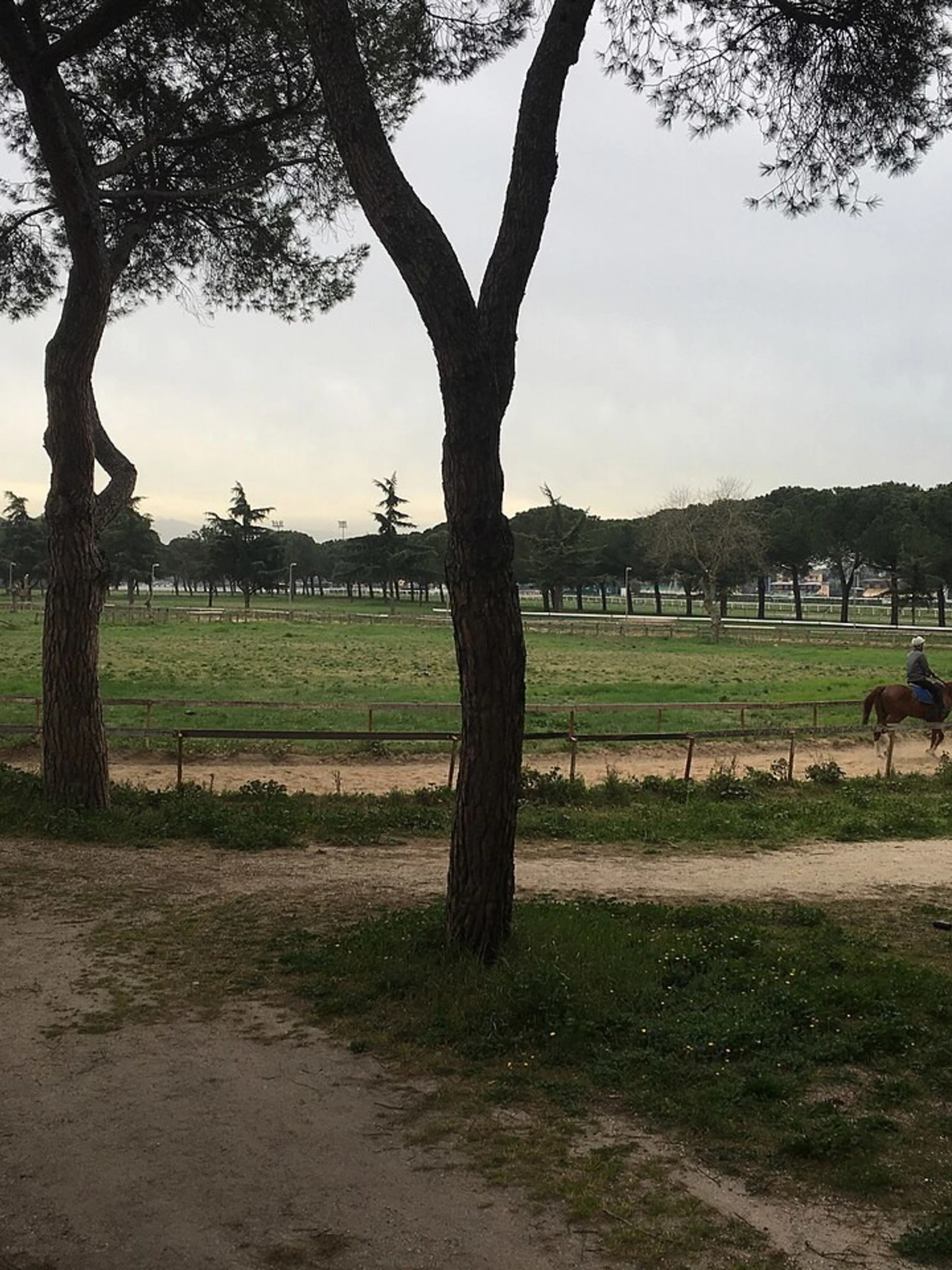 Partono i licenziamenti all'ippodromo di Roma Capannelle