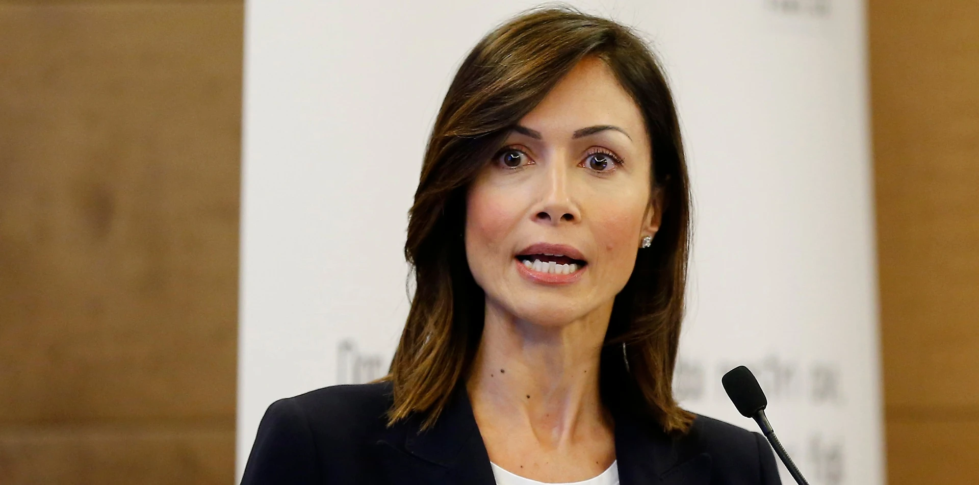 Mara Carfagna, il messaggio a Silvio Berlusconi dietro la mezza apertura a Matteo Renzi