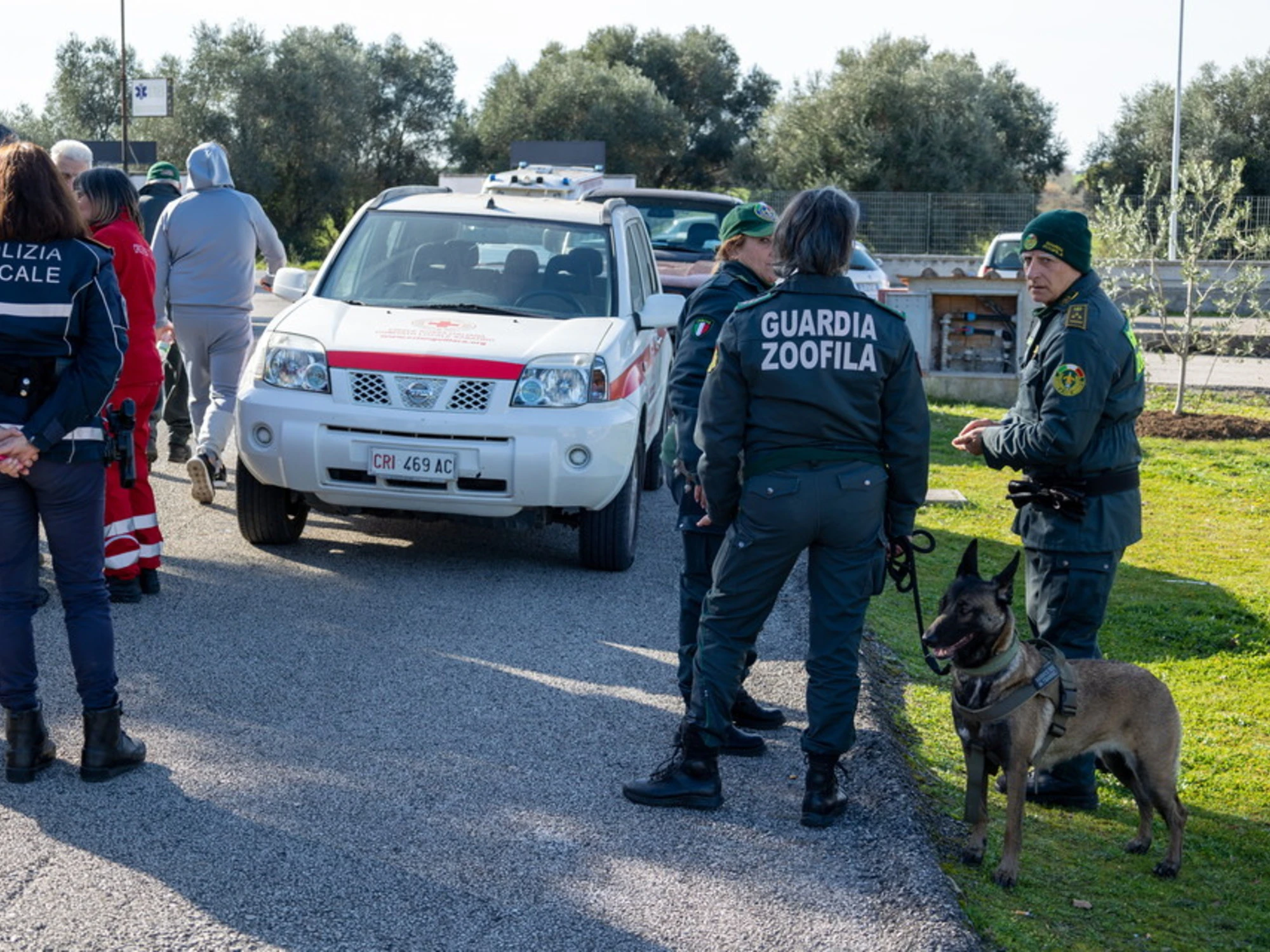 Federica Torzullo, a Carlomagno contestato anche il reato di femminicidio