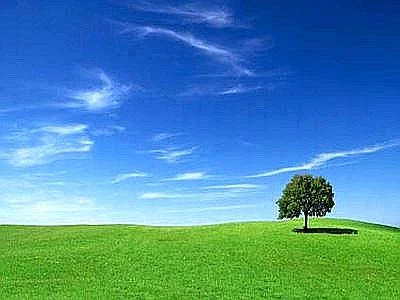 Un impegno trasversale per l'agenda verde, centrali ambiente e innovazione
