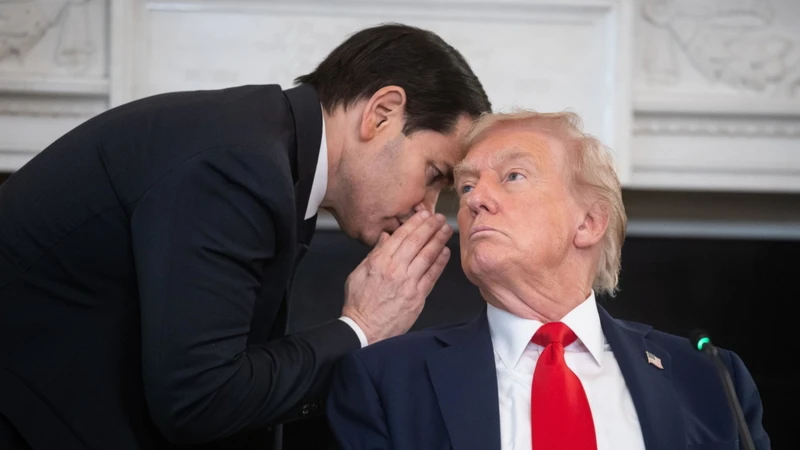 https://media.liberoquotidiano.it/ZOM93SYnUEiCIT9DYgkWAqdVUYqG0ONyvcOUwPc8wGQ/width:800/quality:90/aW1hZ2VzLzIwMjUvMTAvMDkvMDYyODA0NzYxLTI5NmEzZjM3LTA5ZjctNDYwNi1hYzAwLWFmYjFlNDhlMjcwOC5qcGc.webp