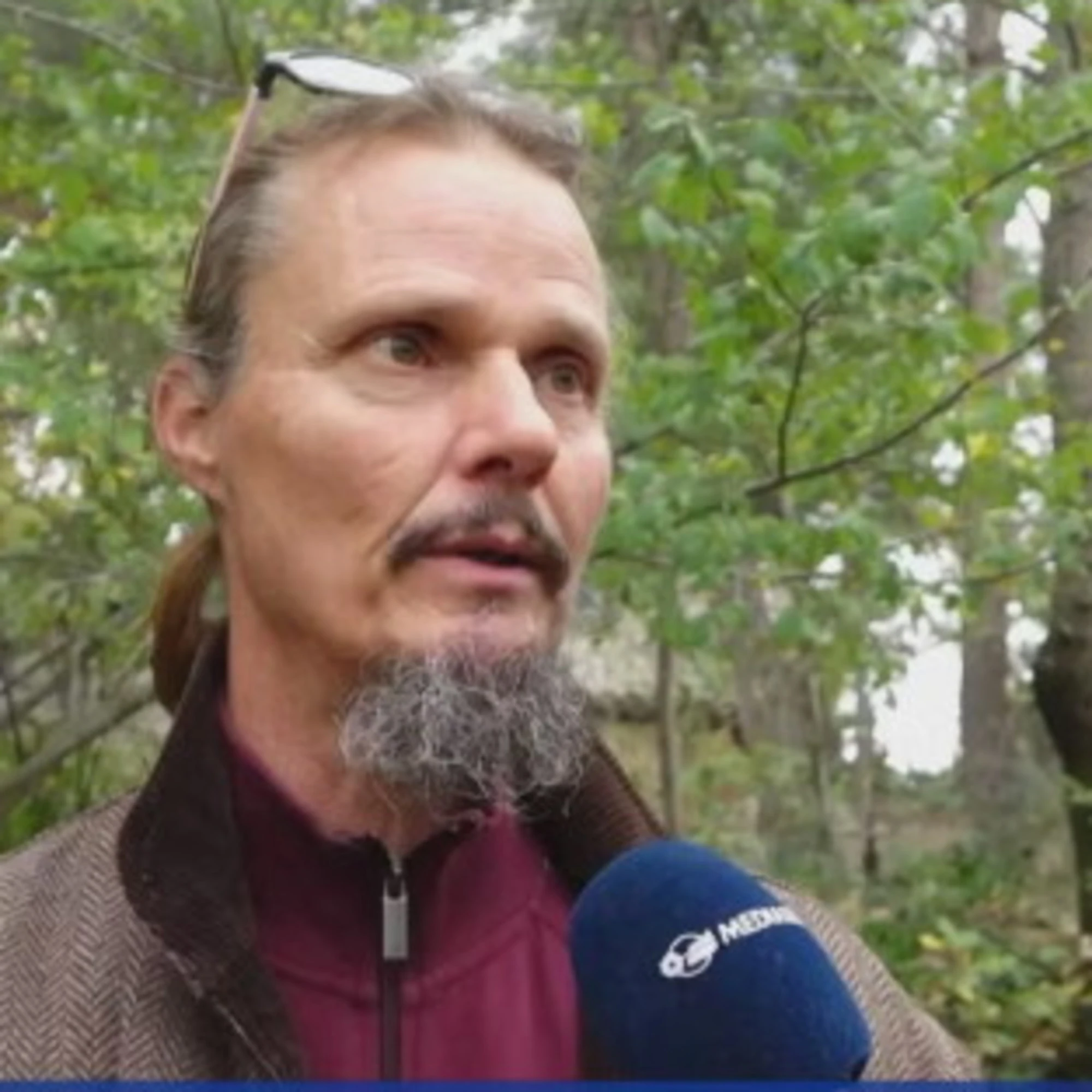 Bosco è la parola della settimana