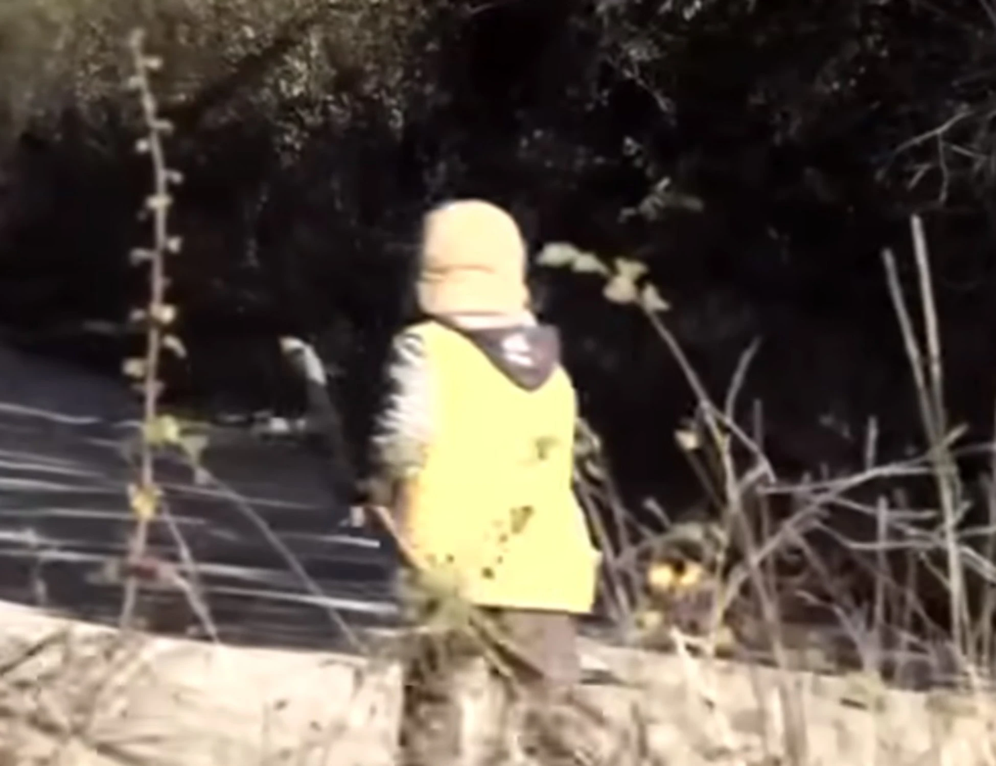 Abruzzo, la famiglia che vive nei boschi? Figli allontanati, furia Salvini