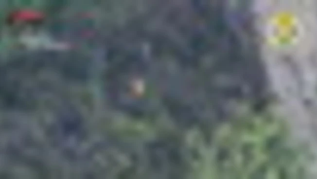 Calabria, appicca il fuoco al bosco ma il drone riprende tutto