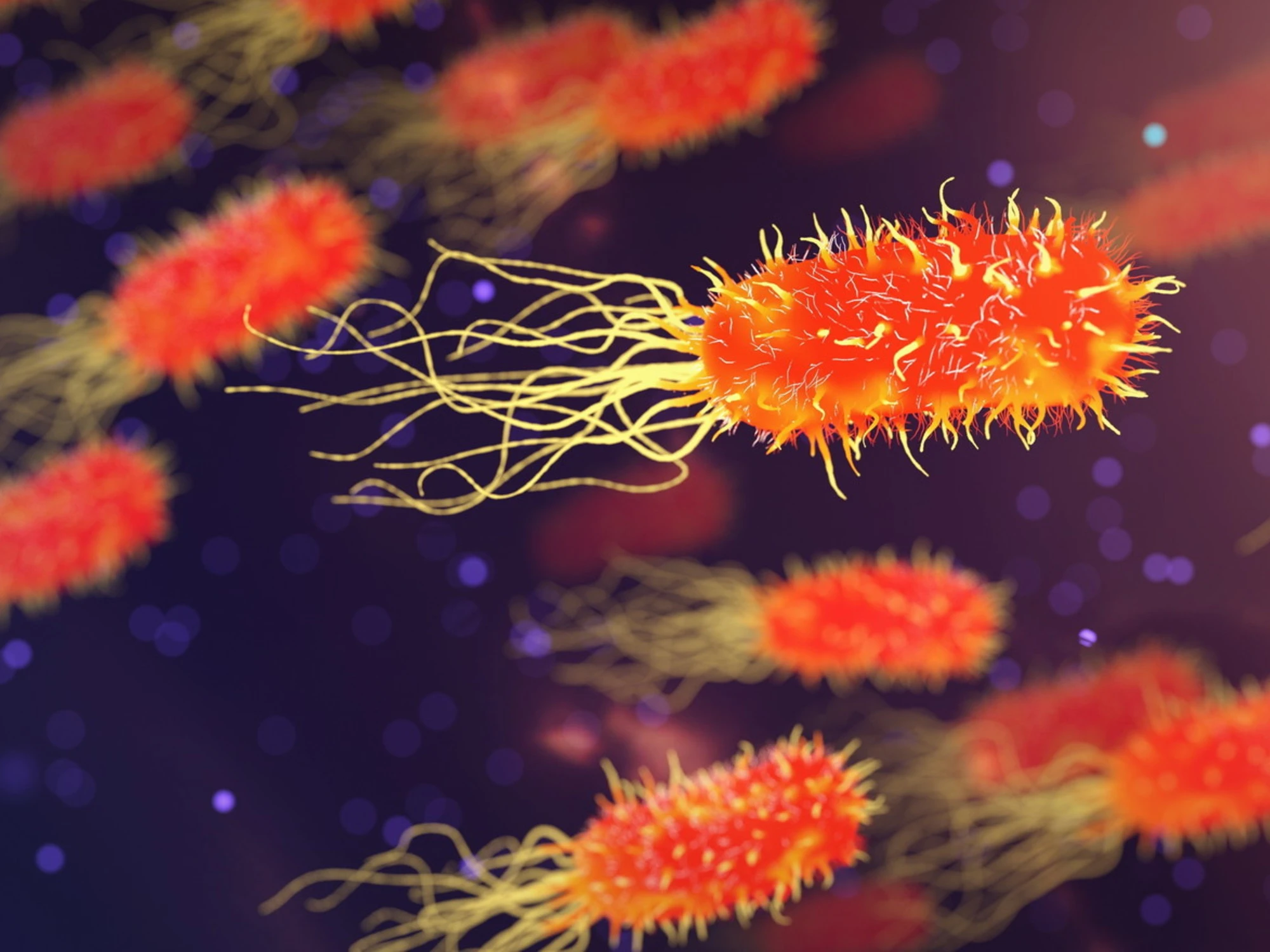 La scoperta: alcuni virus respiratori potrebbero ostacolare le metastasi ai polmoni