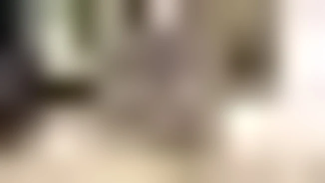 https://media.liberoquotidiano.it/ZsFHbOtp2ymED7FndZmTWWGcanCoQLel4nFJsMba4V4/width:800/quality:90/aW1hZ2VzLzIwMjYvMTAvMDUvMTY0NjQ5MTc0LTU0YjA4YWVkLWQ2YWQtNGJjZC04Njc5LTk5NzAzYWI5YmFkOS5qcGc.webp
