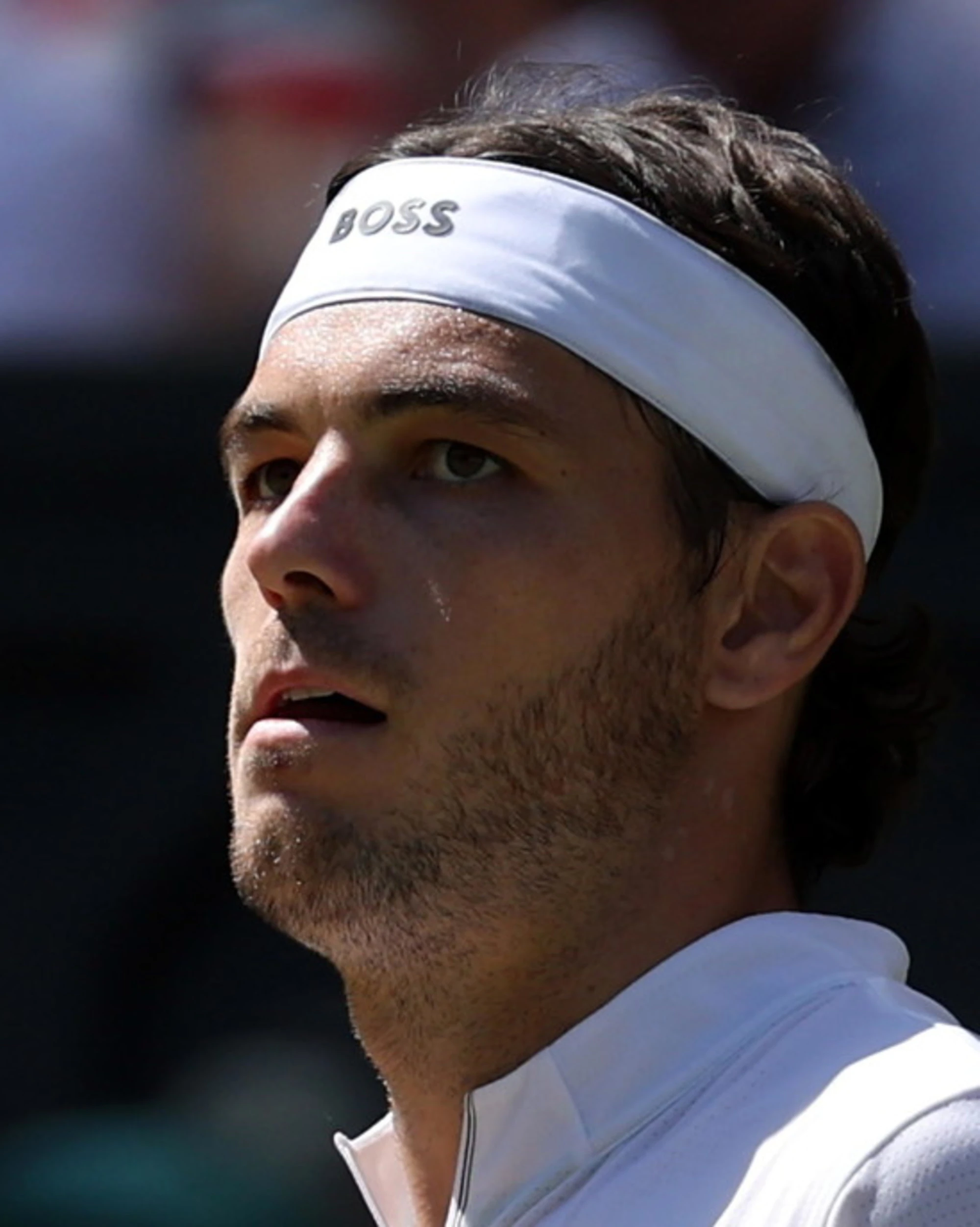 Jannik Sinner, lo sfregio di Taylor Fritz: "Quando Alcaraz è in forma..."