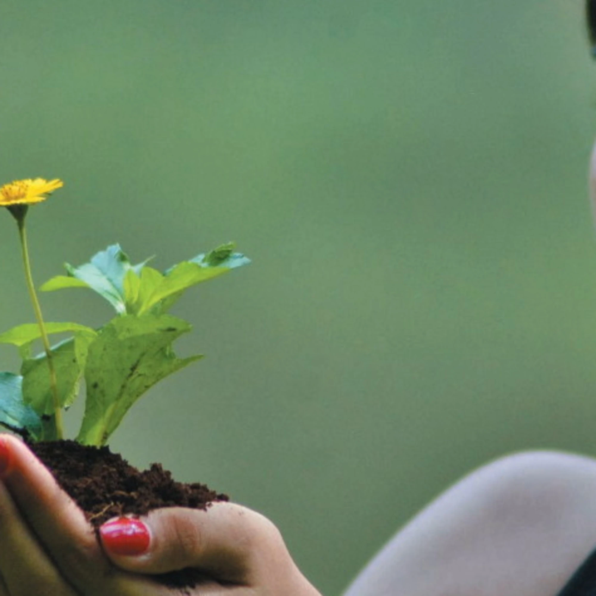 La giornata mondiale dell'ambiente tra crisi e realismo