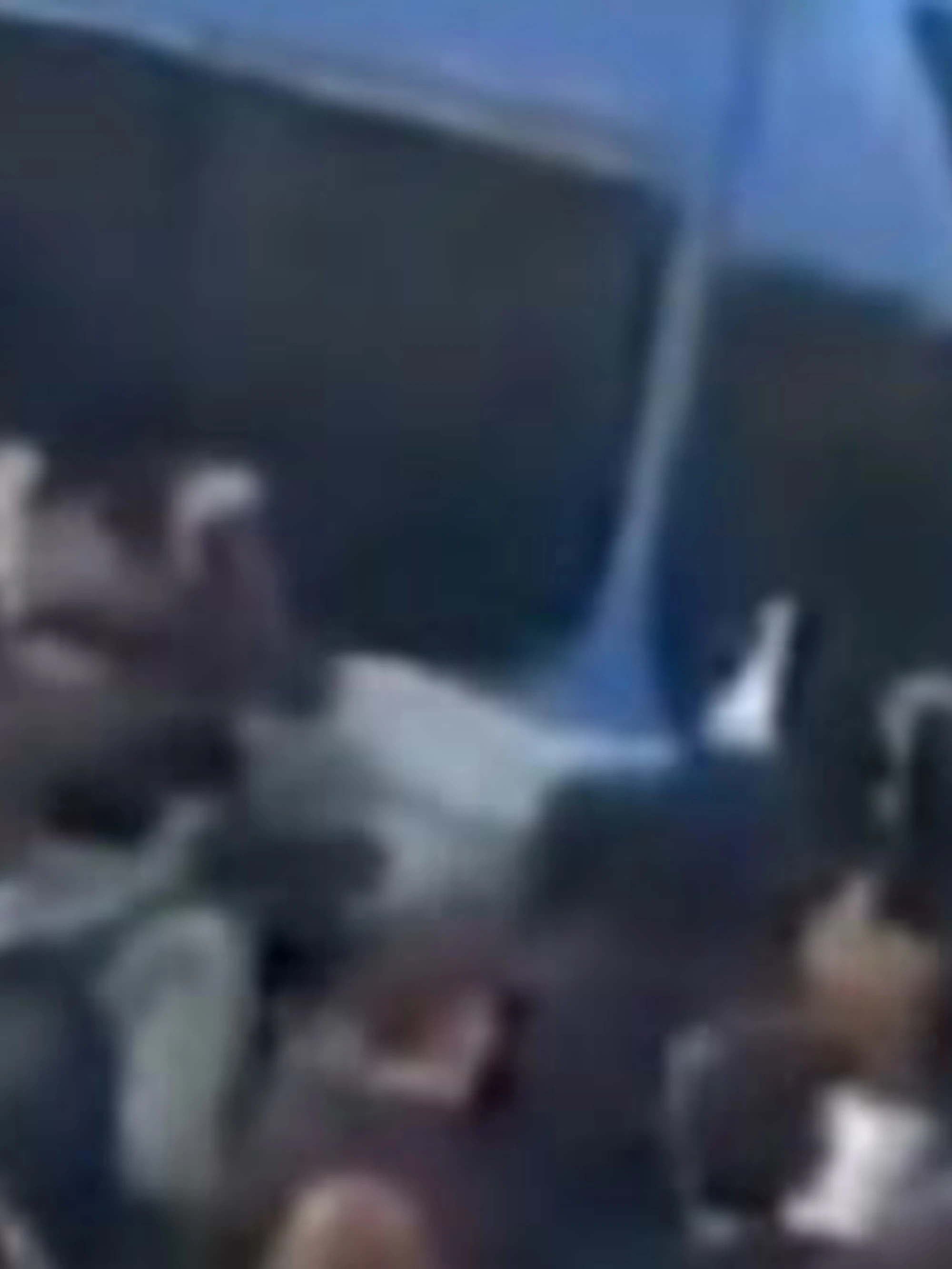 Salvini: "E questi sono per la pace?": assalto alla polizia, video choc