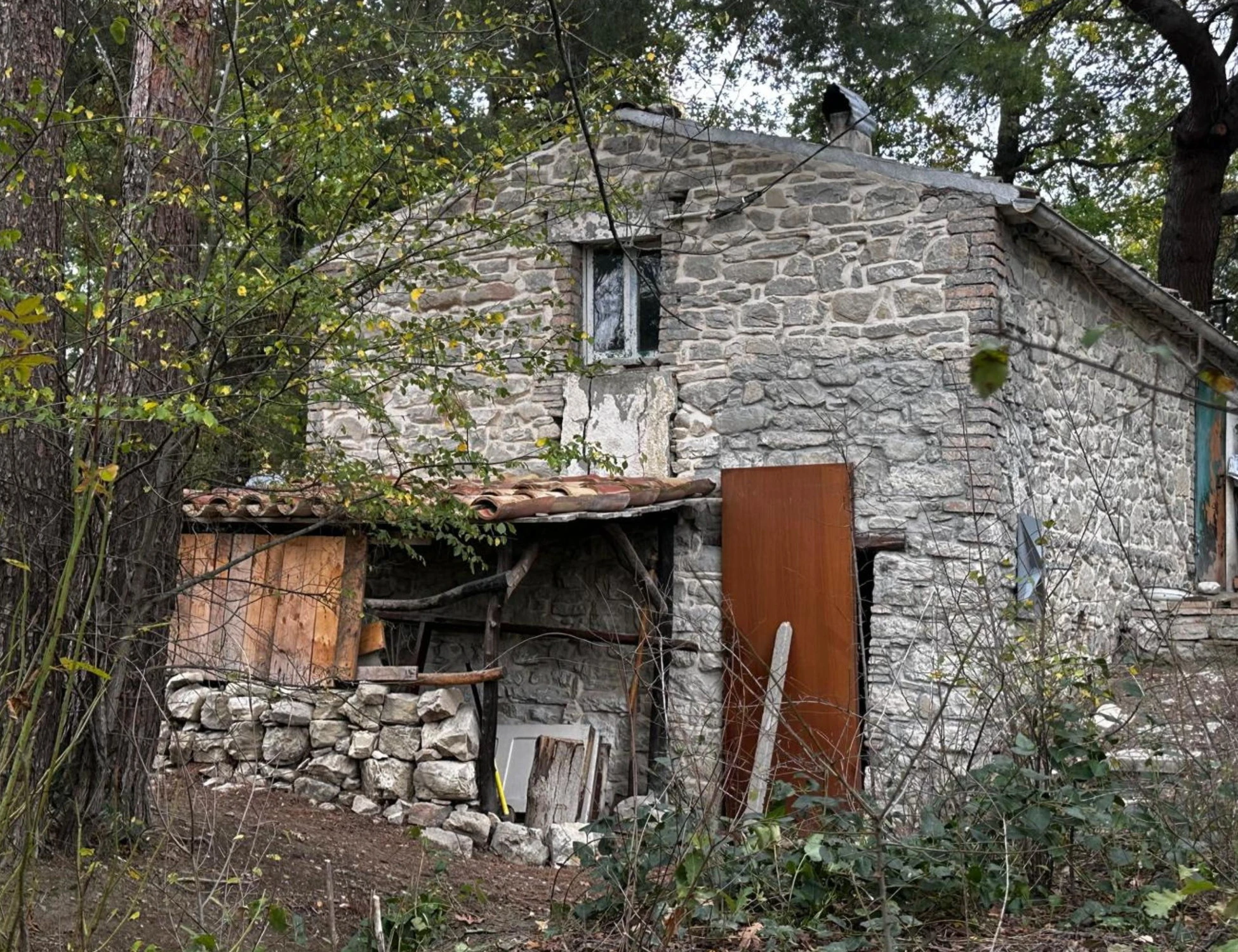 Famiglia nel bosco, l'Anm attacca Meloni e Salvini: il caso deflagra
