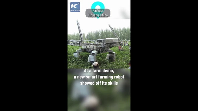 Cina, robot aiuta i coltivatori in un'azienda agricola nello Xinjiang