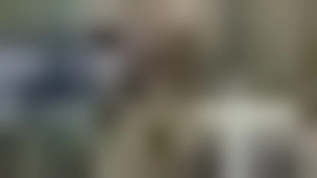 Il Papa: viaggio nel segno dell'unità, speriamo di annunciare pace