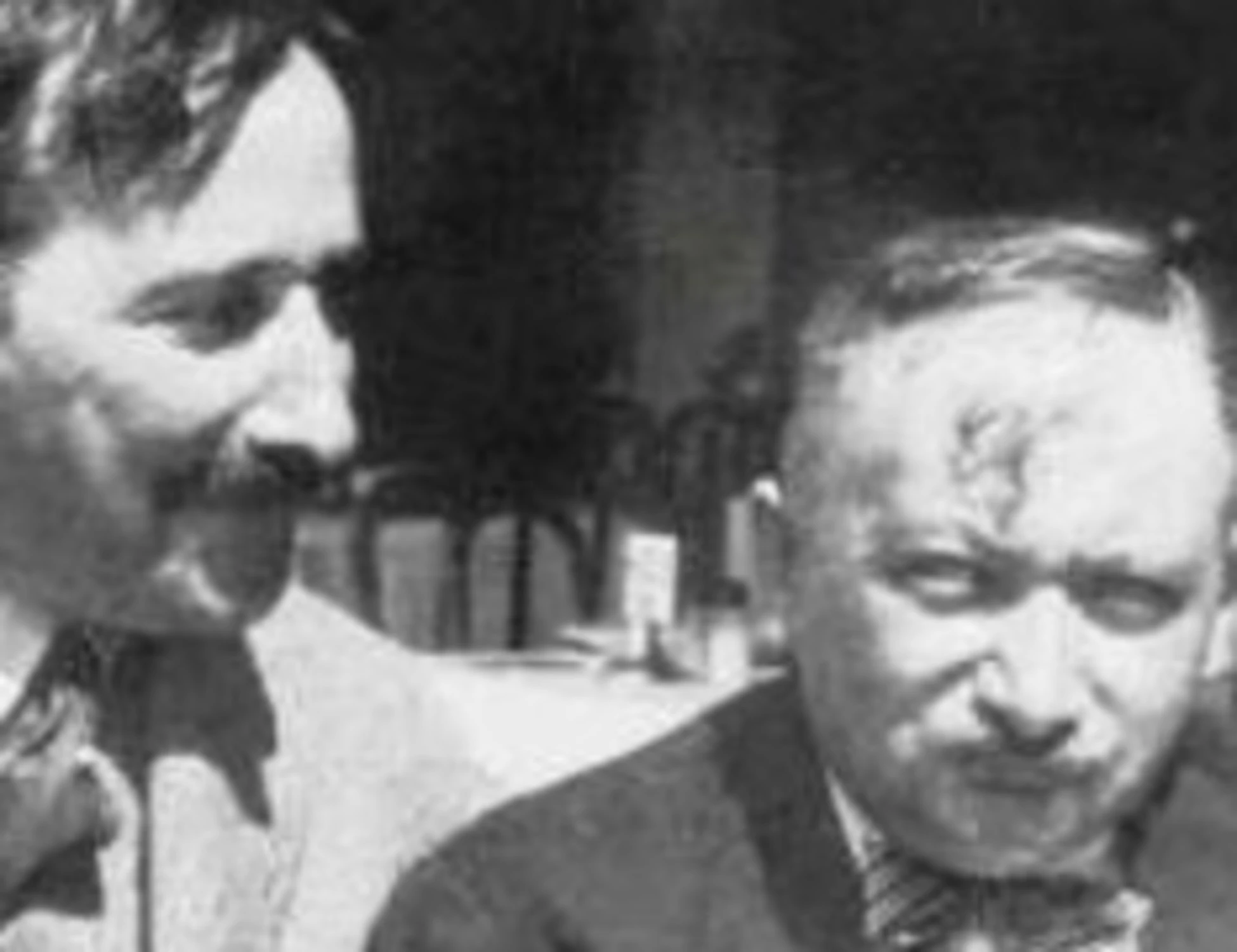 Roth-Zweig, quella corrispondenza di contrastati sensi