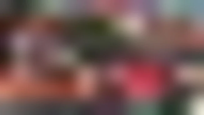 https://media.liberoquotidiano.it/_7YvBofL-clJiItDwn_n7YsPAP2XE3px9YYekym90DE/width:800/quality:90/aW1hZ2VzLzIwMjUvMDkvMjcvMTIxMzI5MDI5LThjZWI2ZmFmLWVjZTUtNGM3ZS1iNTU1LTliM2Y5NjNkMmY0My5qcGc.webp