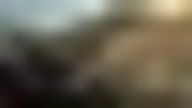 https://media.liberoquotidiano.it/_98WdEE7J8GTGHBM3YDV9CxMjqrPiqtMjVj8WDYz4NI/width:800/quality:90/aW1hZ2VzLzIwMjUvMDkvMTcvMTczOTA3NjAzLTJhNDk3ZjI2LWYwZmYtNDYxYi1iZjQ1LTE1NWJlNjRkMTM4OC5qcGc.webp