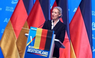 Afd vola in Germania? L'opposizione risponde col porno e masturbandosi