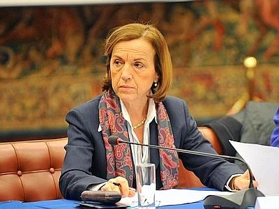 Allarme Fornero: "Risorse per cigd non le può trovare ministro da solo"