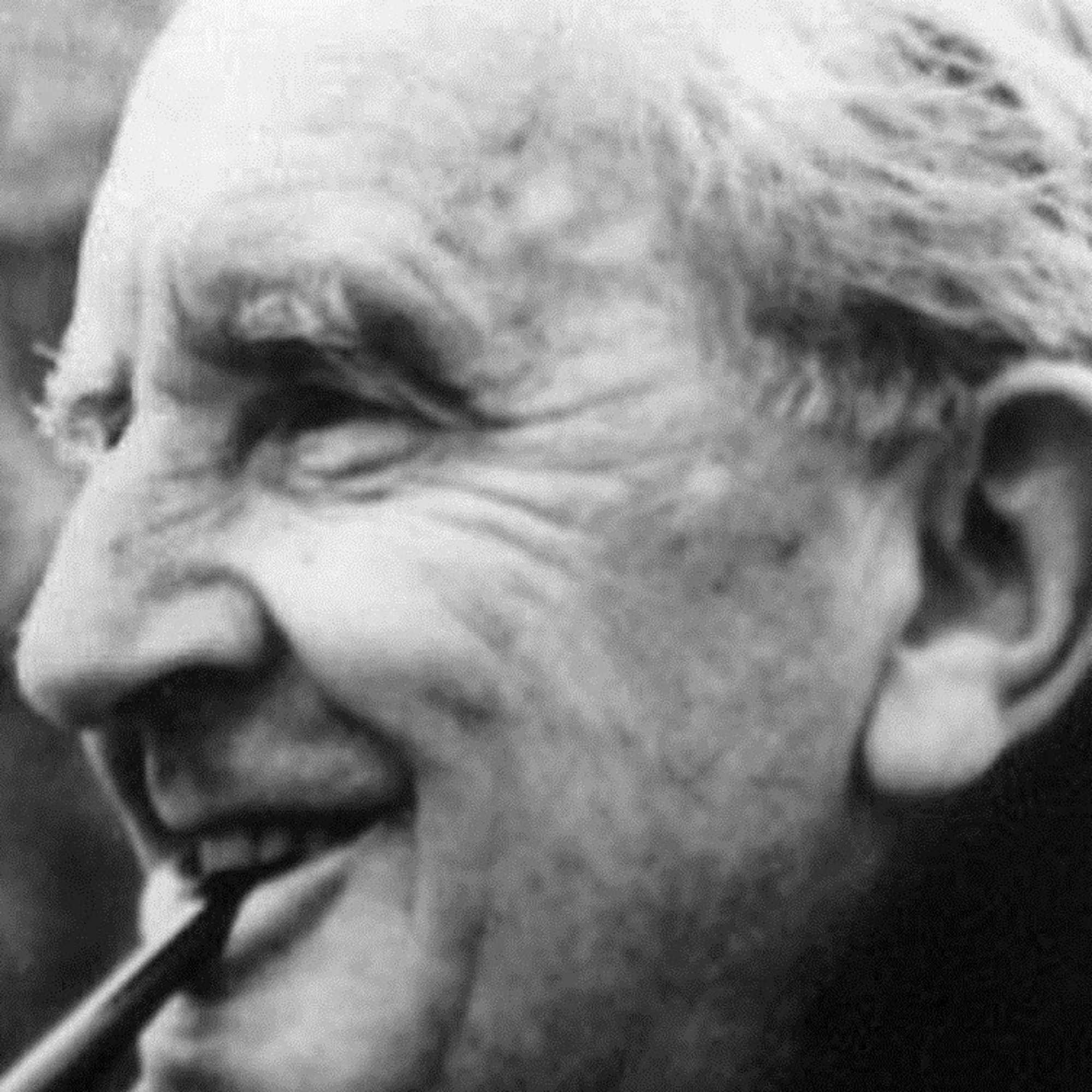 Tolomei-Tolkien: i nomi diventano essenza delle cose