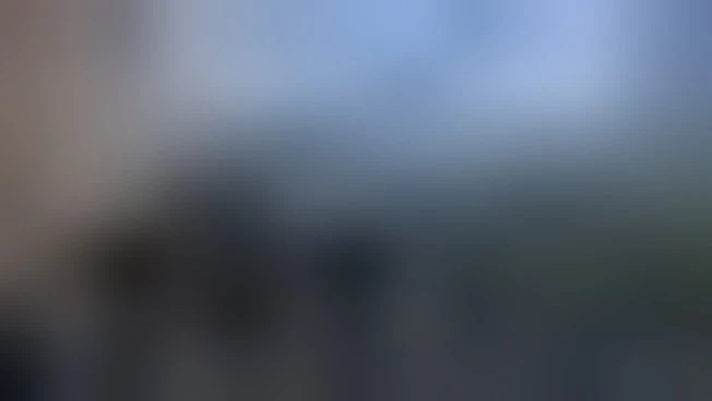 Cop30, principe William e Starmer da Lula: tempo per agire sta finendo