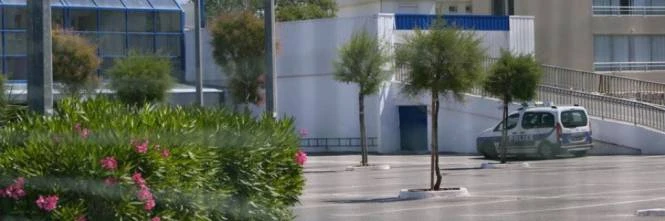 Francia, donna urla "Allah akbar" e accoltella due persone