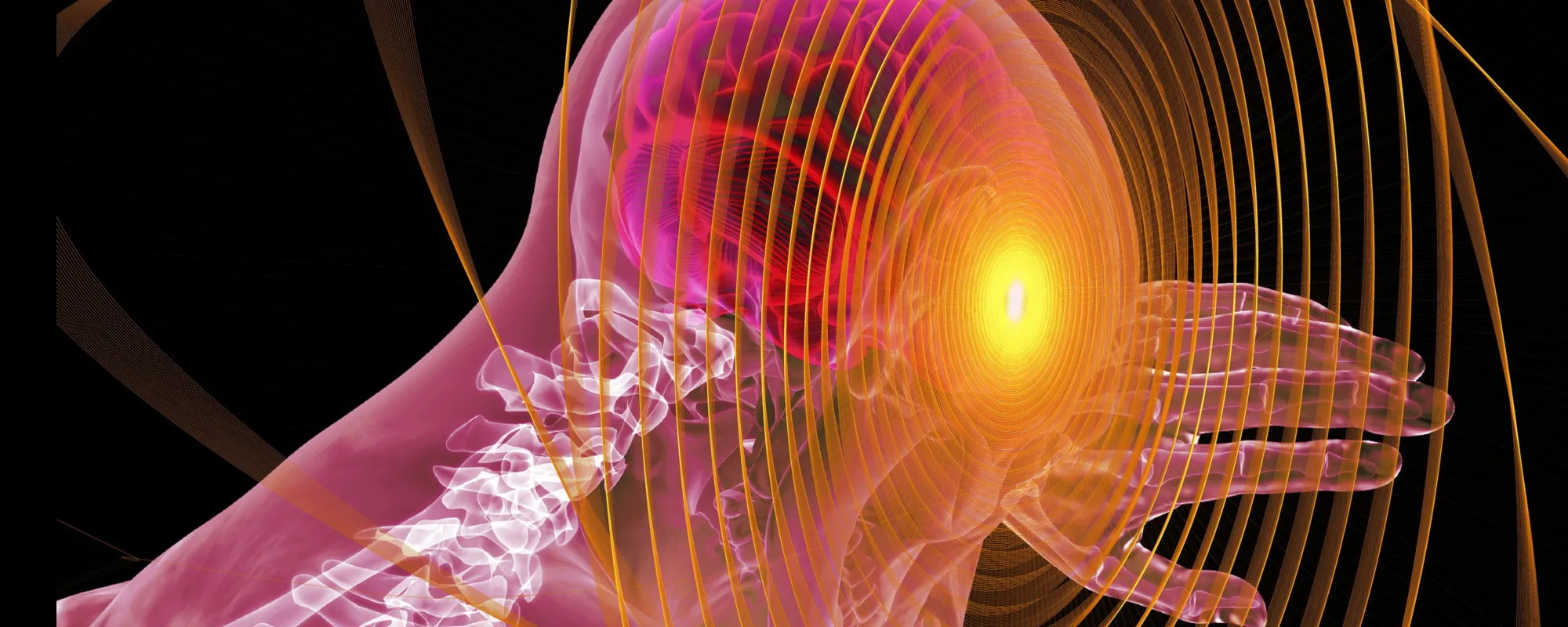 E se il cervello non smettesse mai di rigenerarsi?