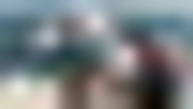Venezia, liberata in mare una tartaruga soccorsa al Lido