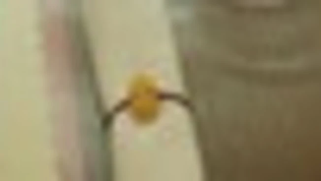 Barilla Al bronzo, con i Riccioli la natura ispira la forma della pasta