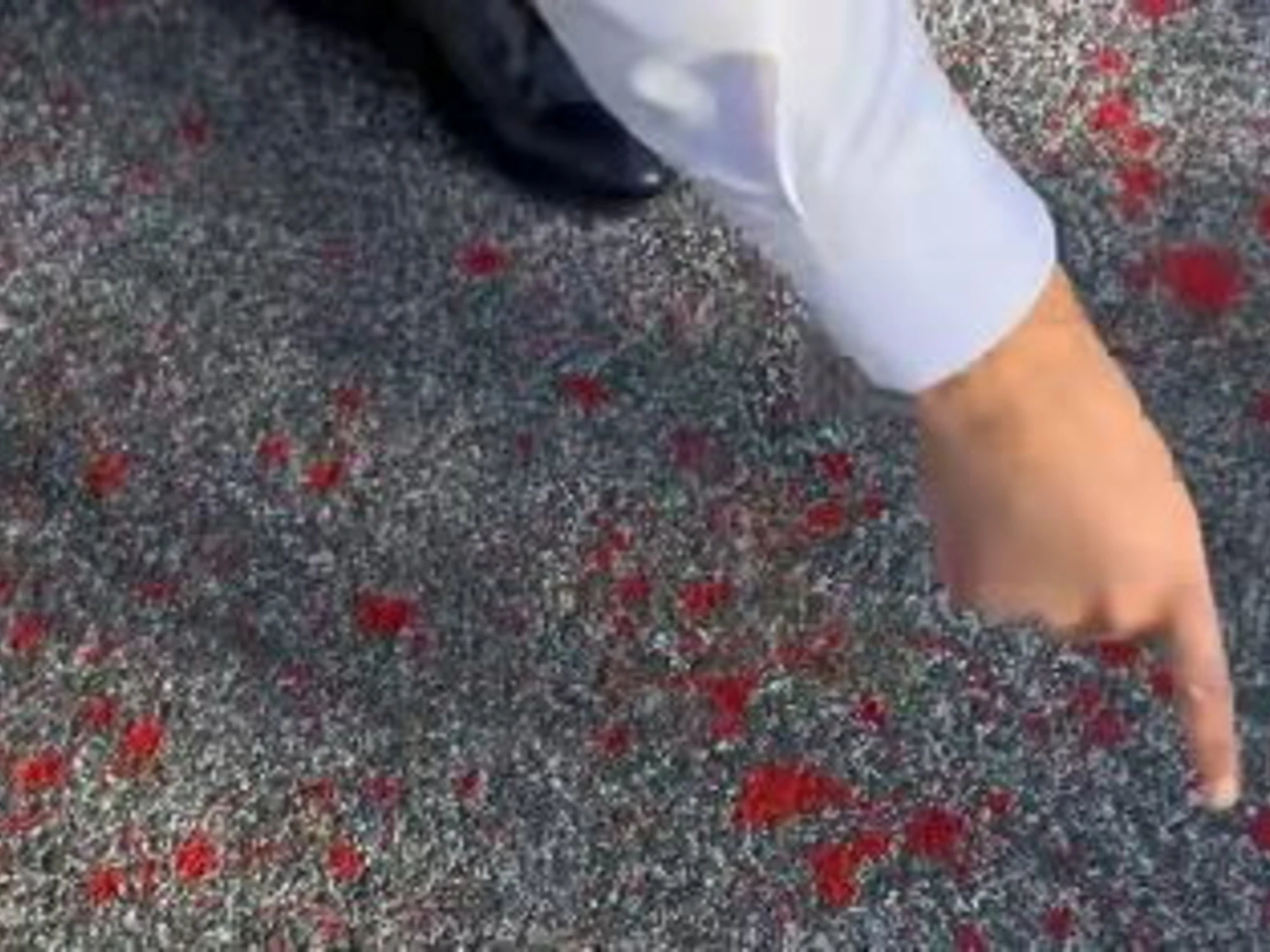 Salvini incenerisce i teppisti: "Questo è sangue? No, ecco cos'è"