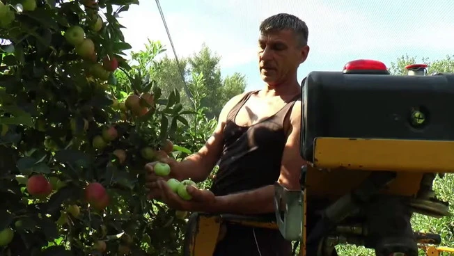 Ue, per l'agricoltura italiana 10 miliardi in più
