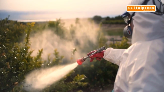 Pesticidi, allarme in Europa "A rischio salute e ambiente”