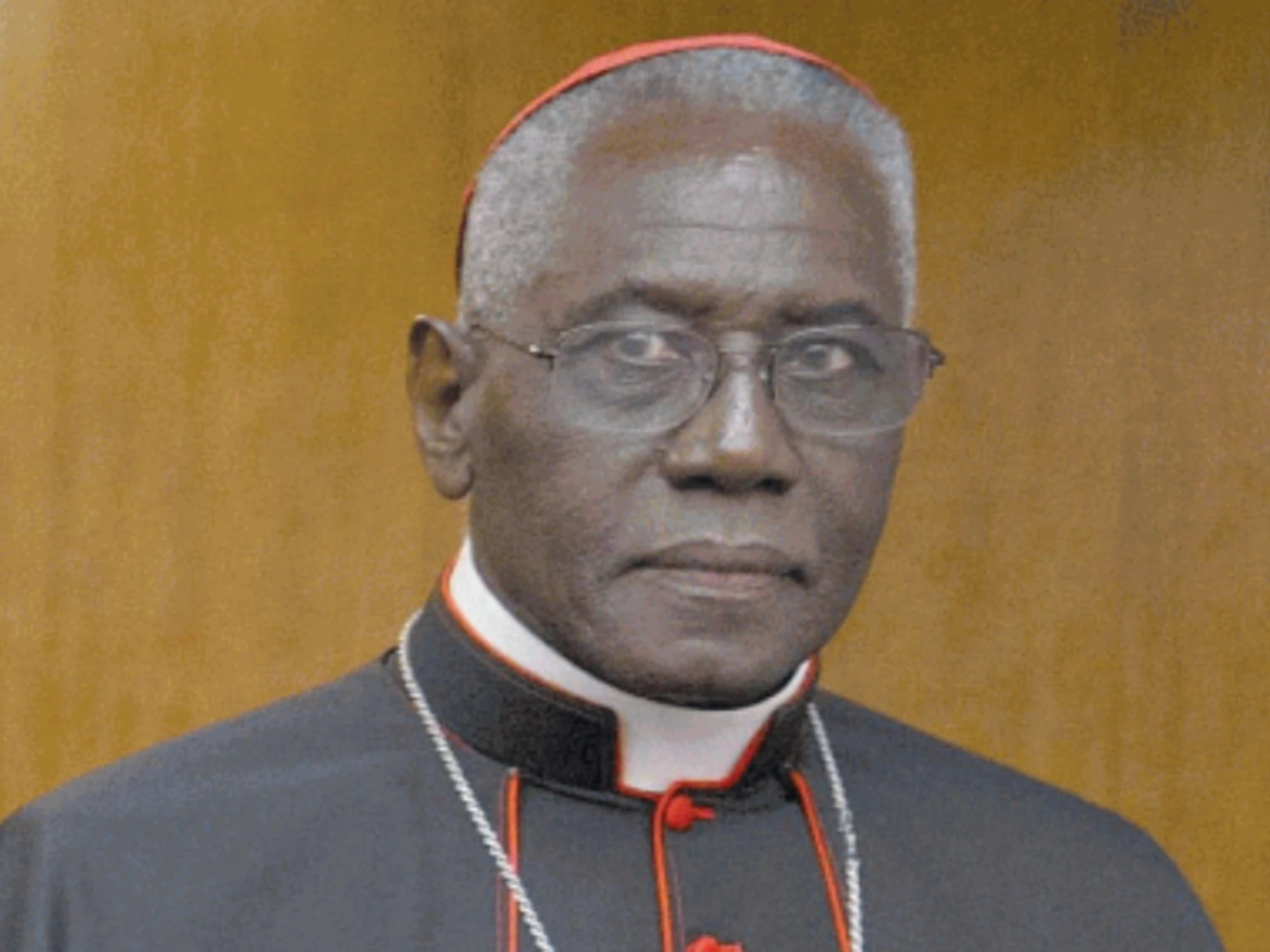 Conclave, il cardinale Sarah: incubo dei progressisti snobbato da Bergoglio