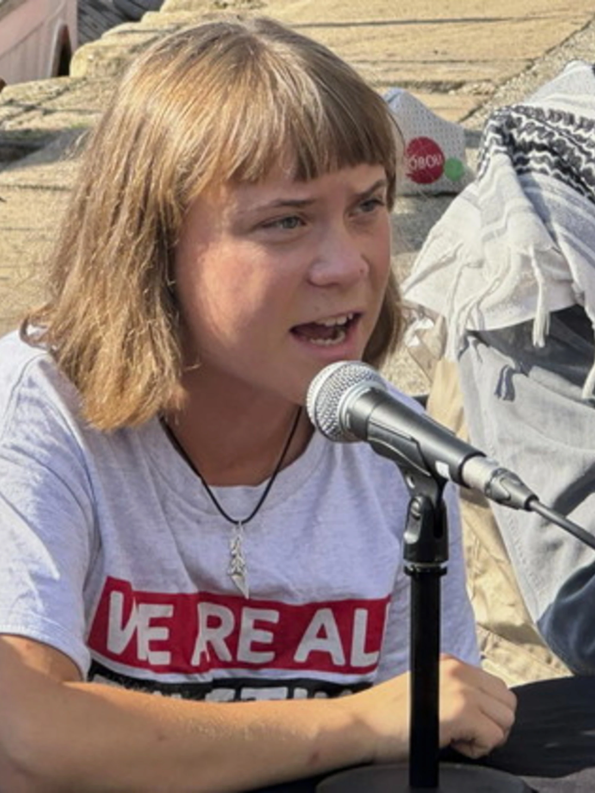 La flotilla di Greta secondo voi sarà respinta da Israele?