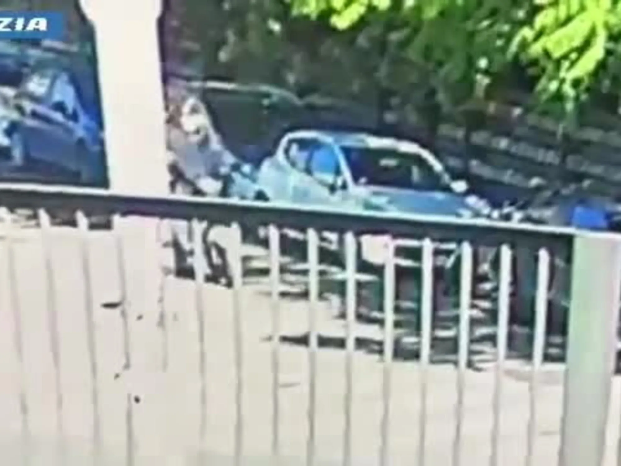 Leggi l'articolo: 25 Aprile, ecco il video degli spari: cosa accade in 30 secondi