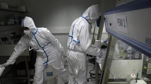 Coronavirus creato in laboratorio a Wuhan, lo studio: "Oltre ogni ragionevole dubbio, poi hanno distrutto i dati"
