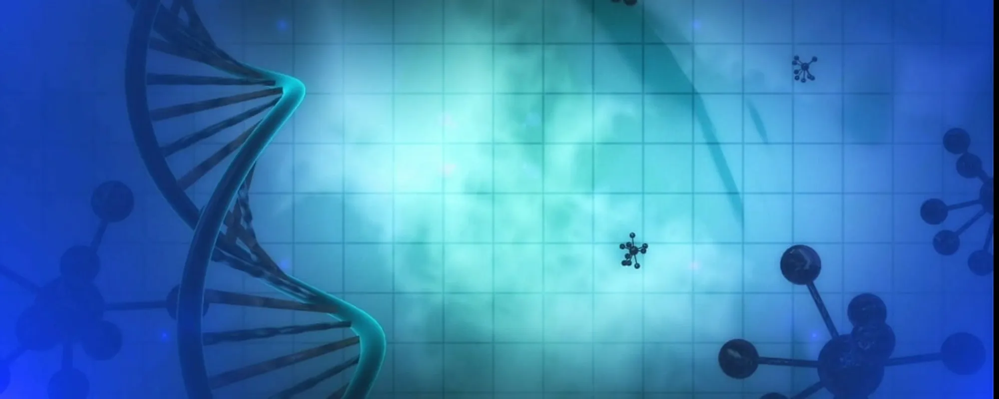 Il cervello dei muscoli: ecco come funziona e cosa può ricordare