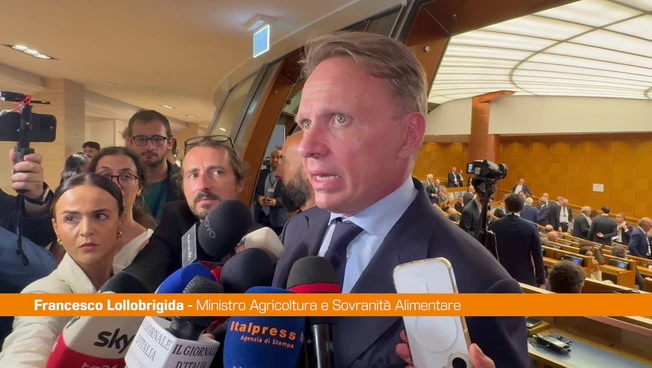 Export, Lollobrigida "Con ICE stiamo facendo un lavoro eccezionale"