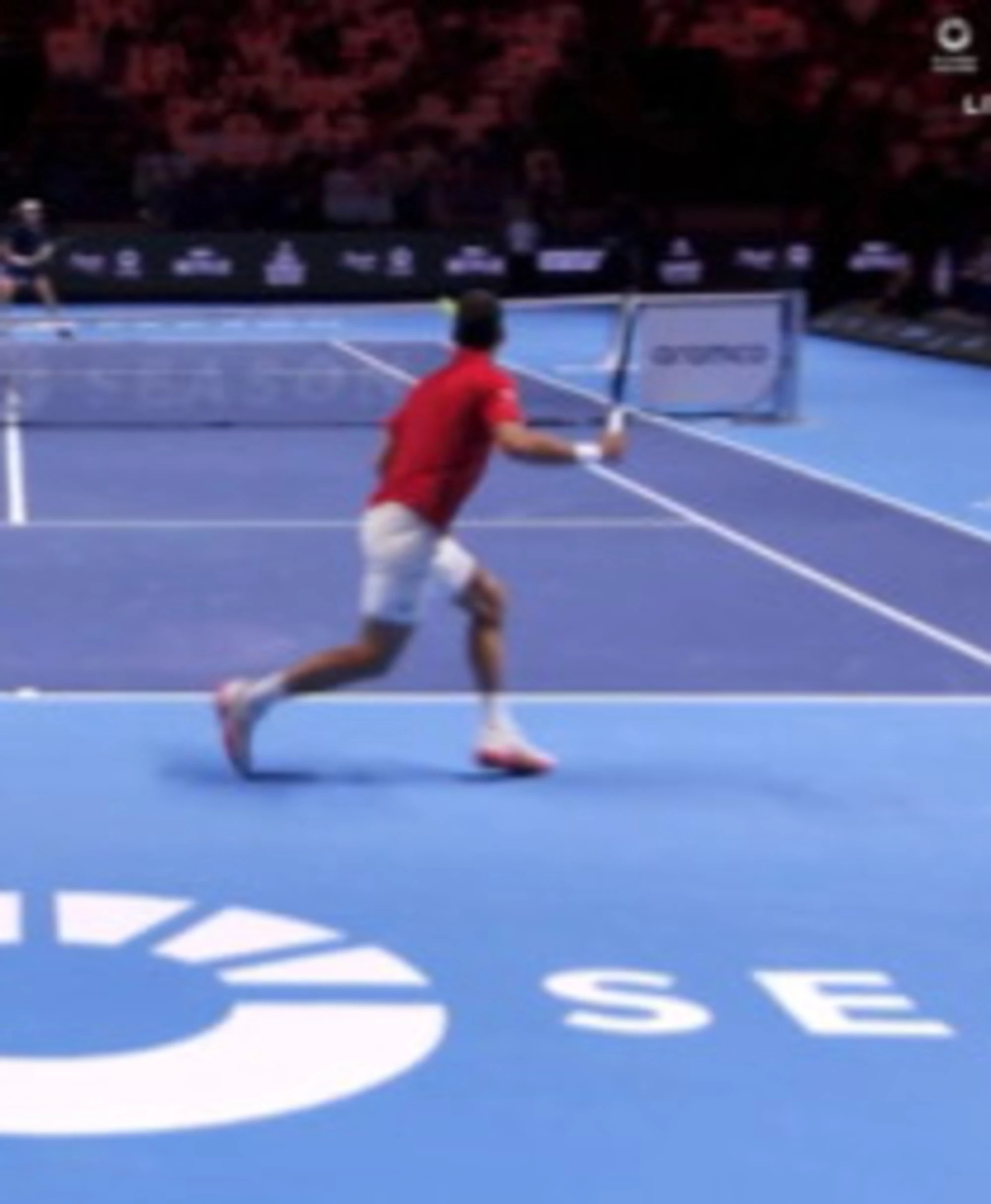 Jannik Sinner, la resa di Djokovic sconvolge tutti: "Colpa sua"