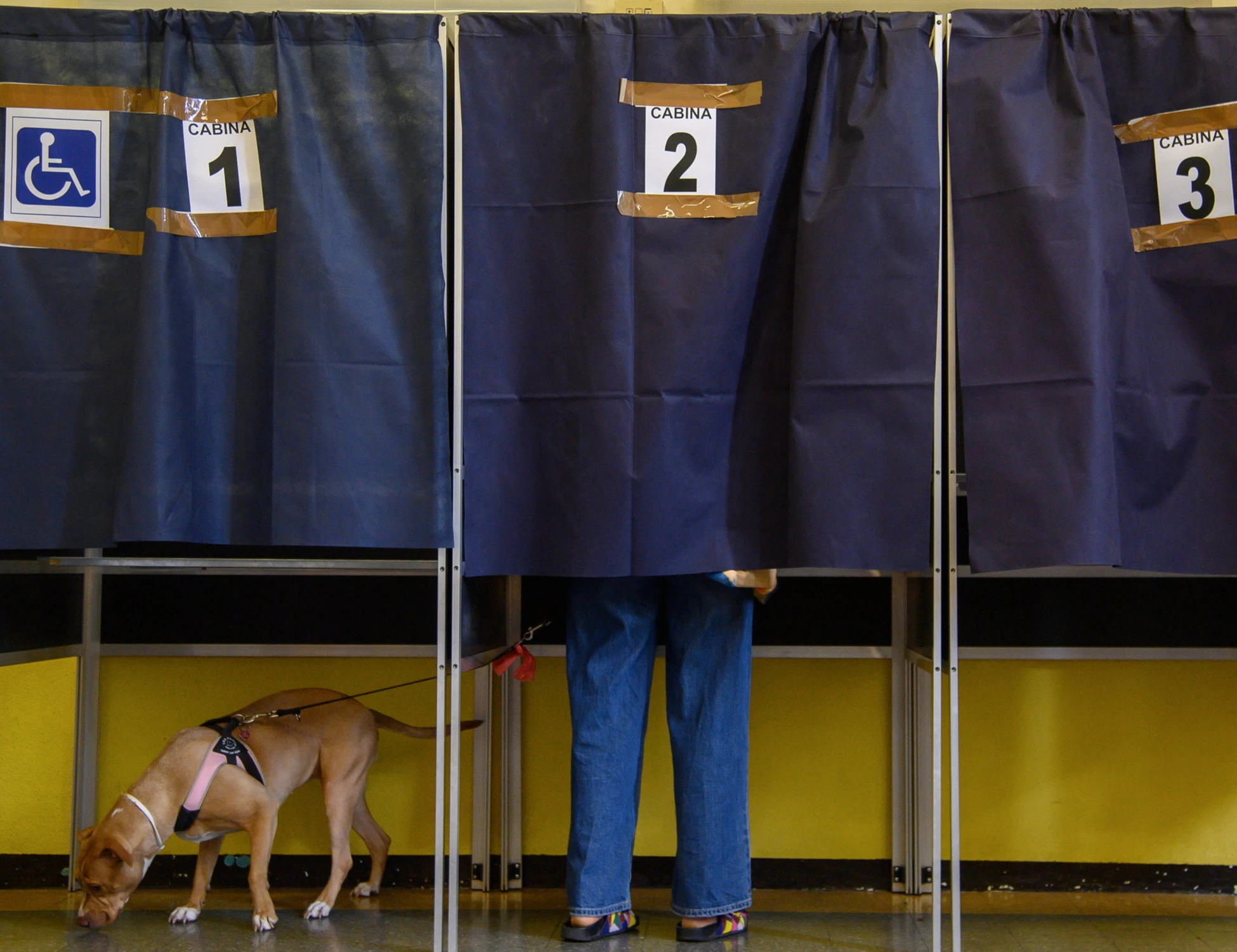 Referendum, l'affluenza batte quella per le elezioni dei deputati: il dato che terremota il fronte del "No"