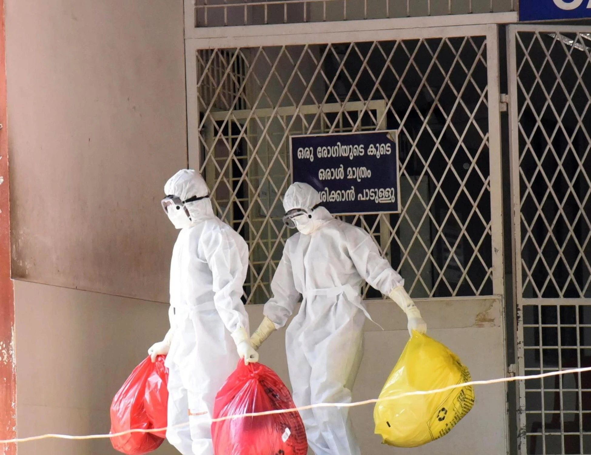 Virus Nipah, "mortalità tra 50 e 70%": l'incubo di una nuova pandemia