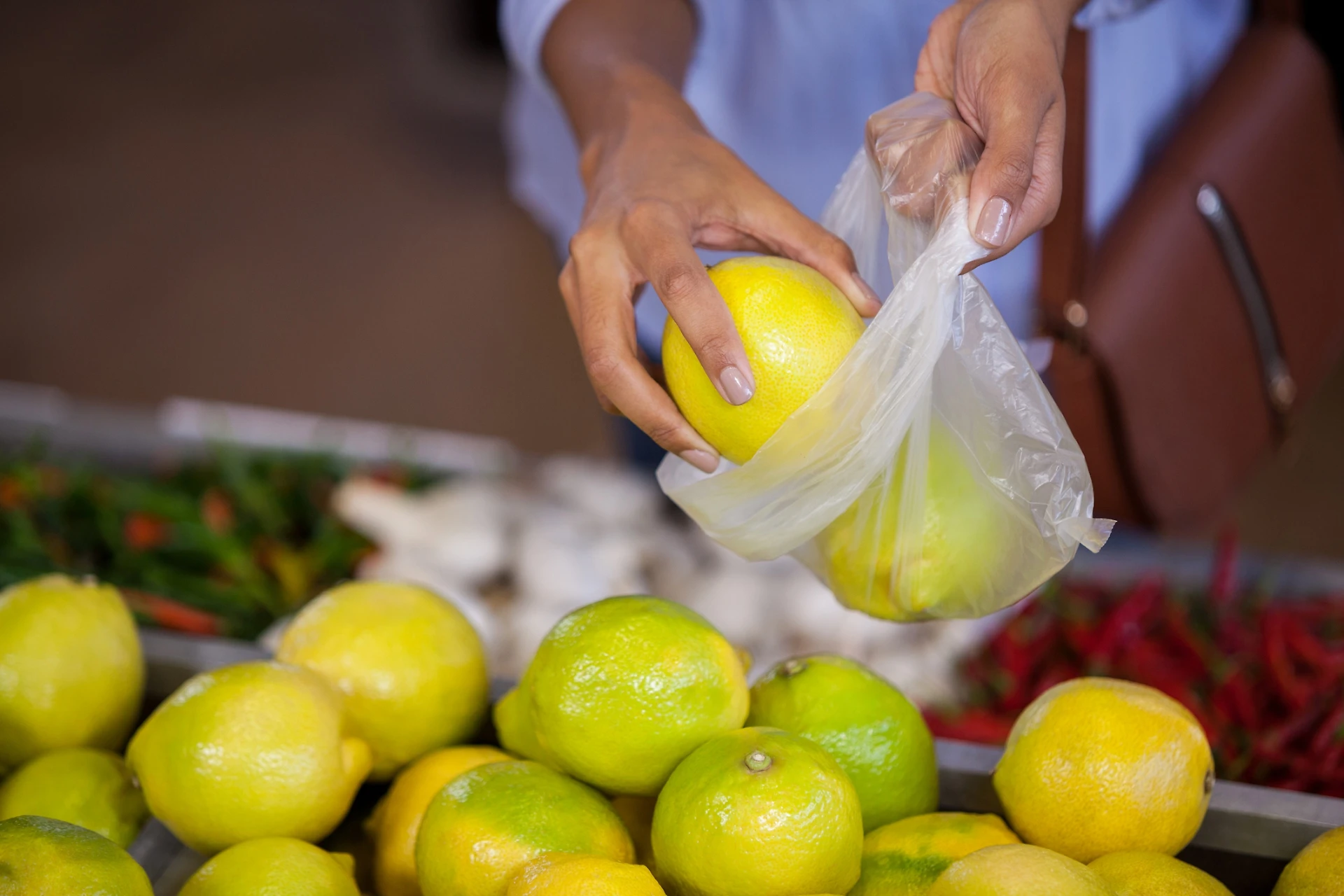 Sacchetti di plastica, la svolta del ministro dell'ambiente: si potranno portare da casa