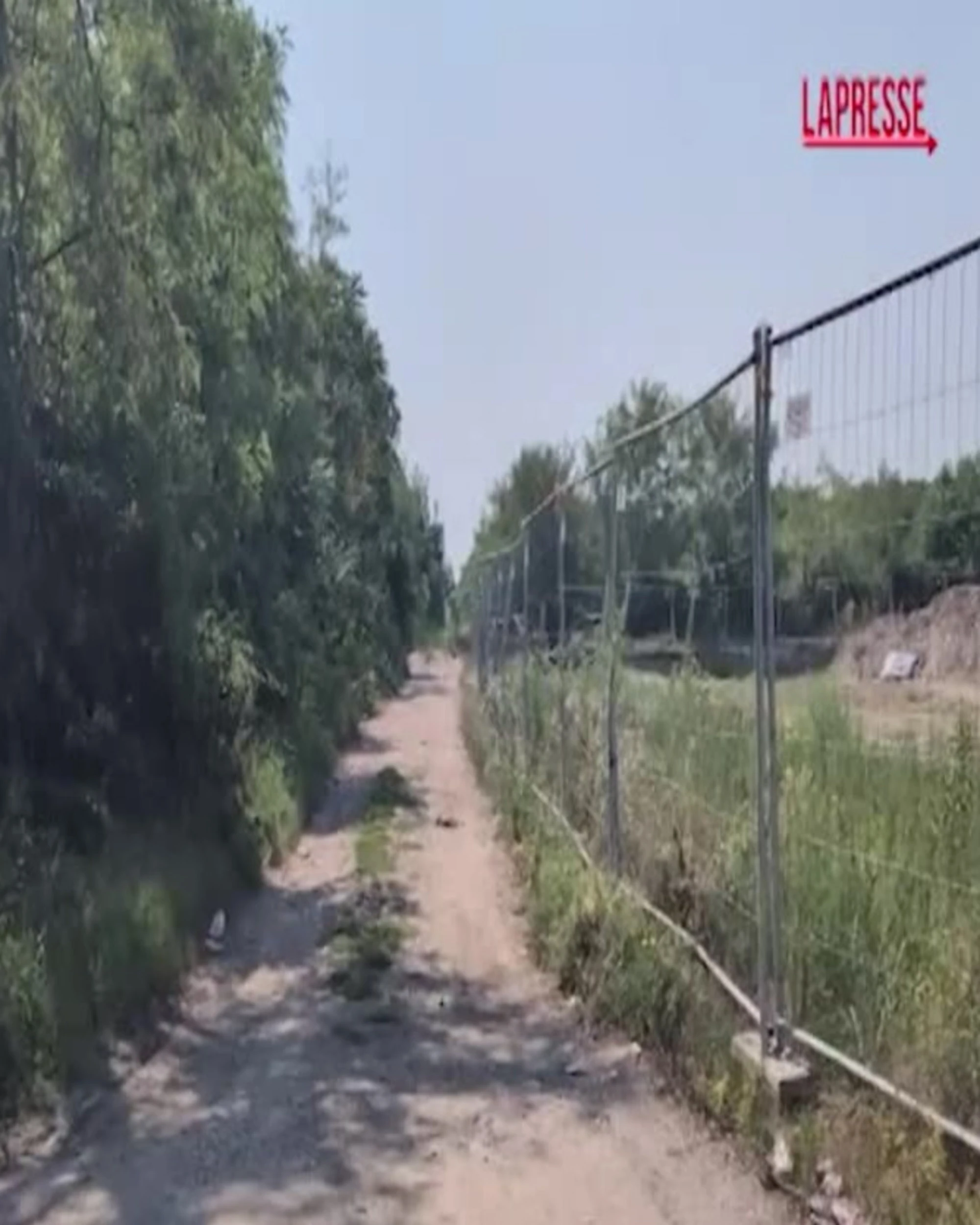 Milano, investita e uccisa da ragazzini: dentro il campo rom di via Selvanesco