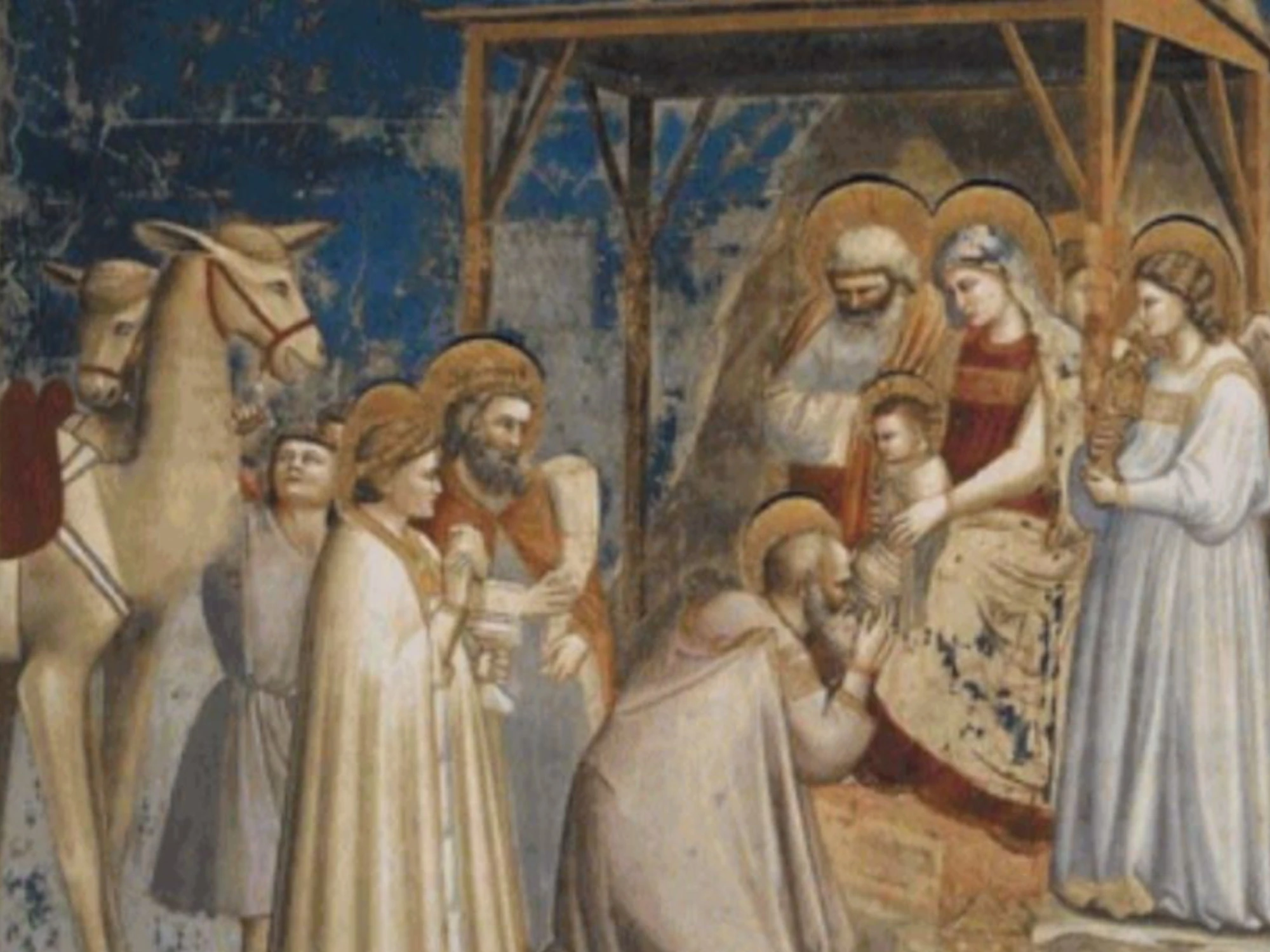 Presagi, stelle, fughe e miracoli Storia e romanzo del piccolo Messia