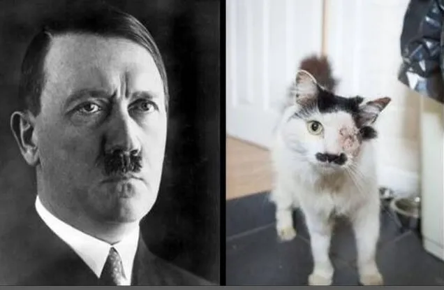 636x415