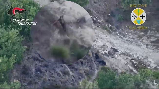 Appicca il fuoco al bosco nel vibonese, allevatore incastrato dal drone