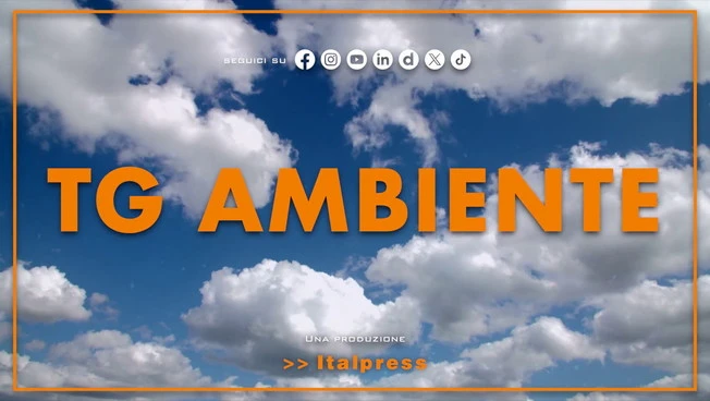 Tg Ambiente - 6/9/2026