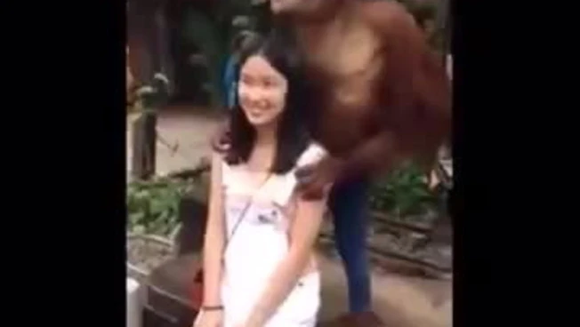 360x360
