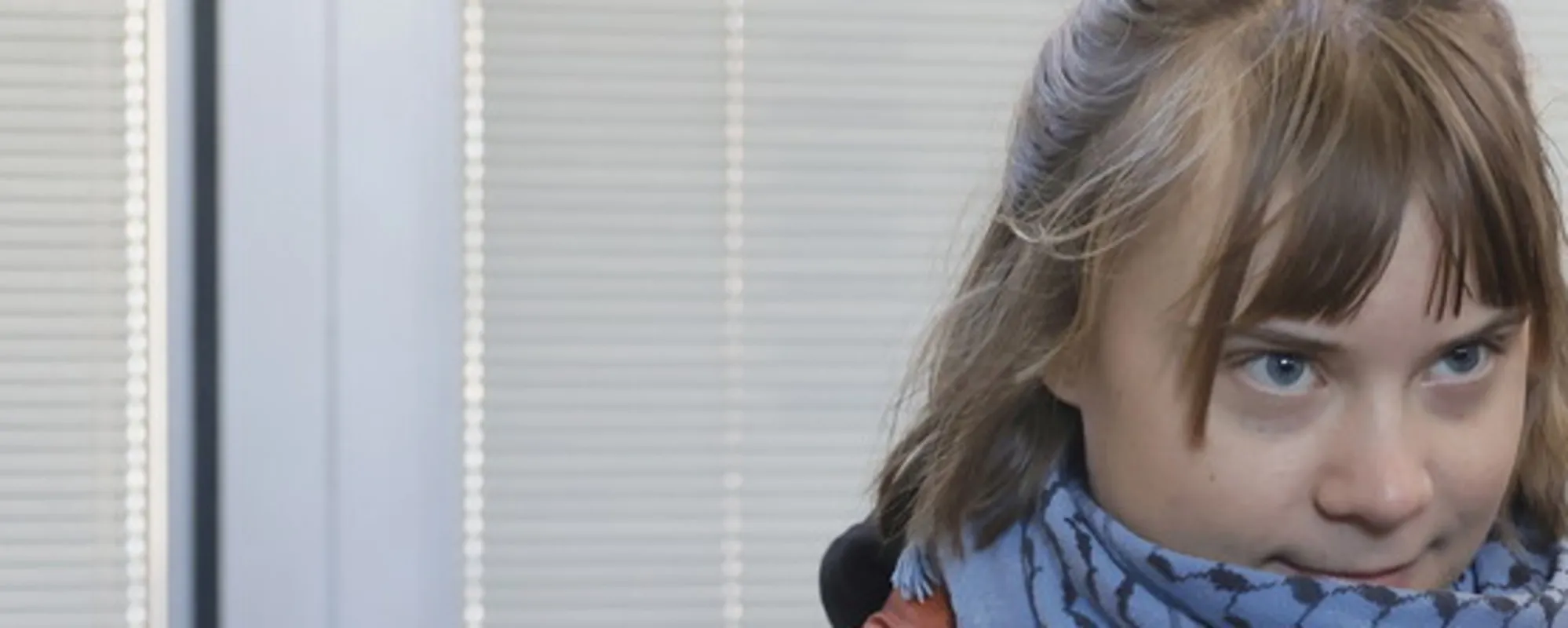 Greta arrestata a Londra: perché scattano le manette